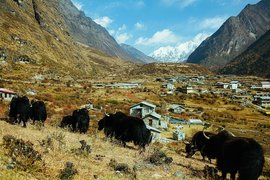 Langtang National Park in Nepal, Bagmati Pradesh | Parks - Rated 3.7