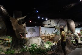 Las Vegas Natural History Museum in USA, Nevada | Museums - Rated 3.6