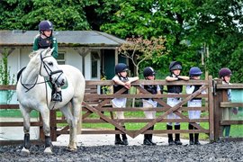 Lavant Equestrian in United Kingdom, South East England | Horseback Riding - Rated 1