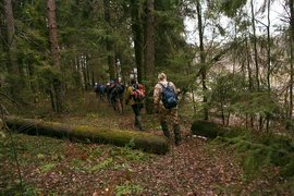 Lavra Trail in Russia, Central | Trekking & Hiking - Rated 0.8