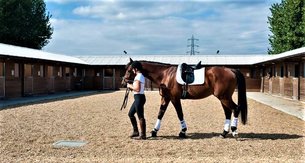 Lee Valley Riding Centre in United Kingdom, Greater London | Horseback Riding - Rated 1