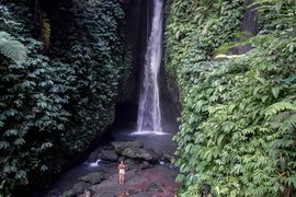 Leke Leke Waterfall in Indonesia, Bali | Waterfalls - Rated 3.6