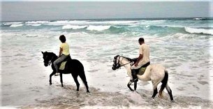 Les Chevaux Du Lac in Senegal, Dakar | Horseback Riding - Rated 1