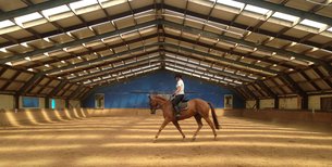 Wellington Riding | Horseback Riding - Rated 4