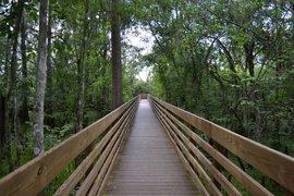 Lettis Lake Park in USA, Florida | Parks - Rated 3.9
