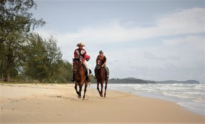 Liberty Ranch in Cambodia, Cardamom and Elephant Mountains | Horseback Riding - Rated 0.7