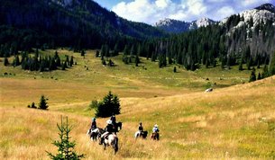 Linden Tree Retreat & Ranch in Croatia, Lika-Senj | Horseback Riding - Rated 1