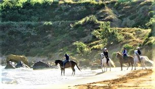 Lino Stables in Malta, Northern region | Horseback Riding - Rated 1