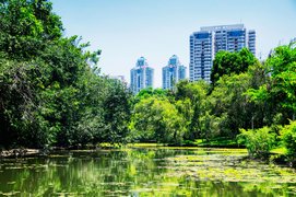 Lizhi Park in China, South Central China | Parks - Rated 3.3