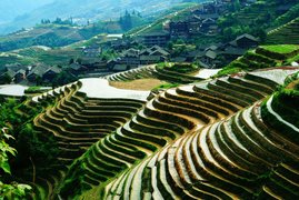 Longji Rice Terrace Hiking in China, Northeast China | Trekking & Hiking - Rated 4.1