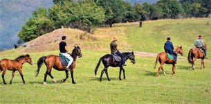 Lori Canyon Trail Rides in Armenia, Tavush Province | Horseback Riding - Rated 1