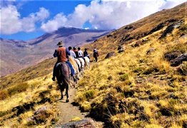 Los Alamos Riding Holiday in Spain, Andalusia | Horseback Riding - Rated 0.8