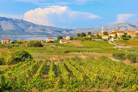 Lovric Winery in Croatia, Dubrovnik-Neretva | Wineries - Rated 0.9