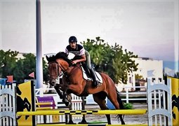 Mojo Equestrian Center | Horseback Riding - Rated 0.8