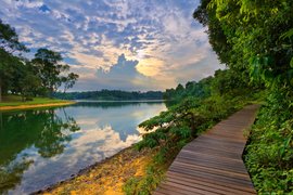 MacRitchie Reservoir Park in Singapore, Singapore city-state | Trekking & Hiking - Rated 3.7