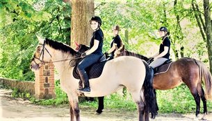 Amajo Pony Club | Horseback Riding - Rated 1