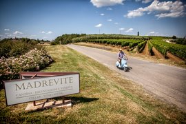 Madrevite in Italy, Umbria | Wineries - Rated 0.9