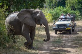 Majete Wildlife Reserve in Malawi, South | Nature Reserves,Safari - Rated 0.8