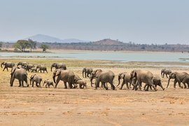 Kasungu National Park | Parks,Safari - Rated 0.7