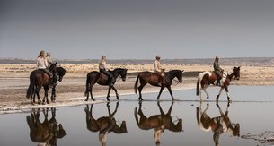 Malo Stables Horse Riding Tours & Competitive Breeding in Kenya, Nairobi | Horseback Riding - Rated 1