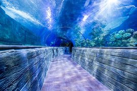 Malta National Aquarium | Aquariums & Oceanariums - Rated 8