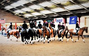 Manege Nieuw Amstelland B.V. | Horseback Riding - Rated 0.9