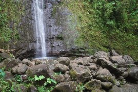 Manoa Falls in USA, Hawaii | Waterfalls - Rated 3.6