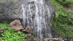 Mare aux Joncs Waterfall in Mauritius, Plaines Wilhems Distric | Waterfalls,Trekking & Hiking - Rated 0.9
