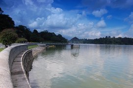 McRitchie in Singapore, Singapore city-state | Lakes - Rated 3.7