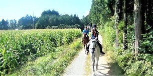 Mihara Horse Club in Japan, Kyushu | Horseback Riding - Rated 0.9