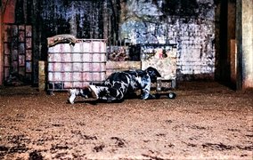 Milicia Urbana Indoor Paintball in Portugal, Norte | Paintball - Rated 4.2