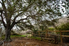 Mission Trails Regional Park in USA, California | Parks - Rated 4