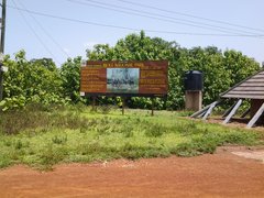 Mole National Park in Ghana, Savannah | Parks - Rated 3.4