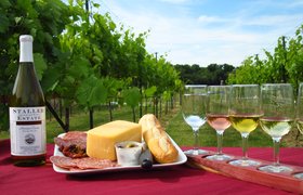 Montefiascone Winery | Wineries - Rated 0.8