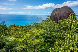 Morne Seychellois National Park in Republic of Seychelles, Mahe | Parks - Rated 0.9