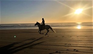 Amazir Cheval in Morocco, Souss-Massa | Horseback Riding - Rated 1