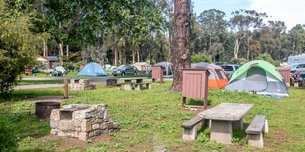 Morro Bay State Park Campground | Campsites - Rated 4.1
