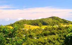 Mount Hillaby Loop in Barbados, St. Thomas Parish | Trekking & Hiking - Rated 0.8