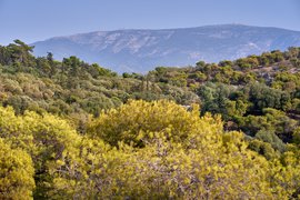 Mount Hymettus in Greece, Attica | Trekking & Hiking - Rated 0.9
