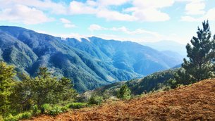 Mount Pulag in Philippines, Central Luzon | Trekking & Hiking - Rated 3.7