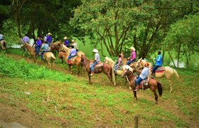 Mountain Rider Belize in Belize, Belize District | Horseback Riding - Rated 0.8