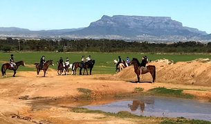 Mountain View Horse Trails in South Africa, Western Cape | Horseback Riding - Rated 1.1
