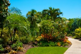Mounts Botanical Garden | Botanical Gardens - Rated 3.8