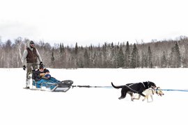 Muddy Paw Sled Dog Kennel in USA, New Hampshire | Sledding - Rated 4