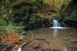 Mullerthal Trail in Luxembourg, Luxembourg Canton | Waterfalls,Parks - Rated 3.8