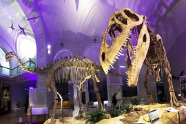 Museum of Natural History in Finland, Uusimaa | Museums - Rated 3.7