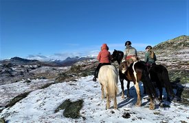 Myhre gard in Norway, Eastern Norway | Horseback Riding - Rated 1