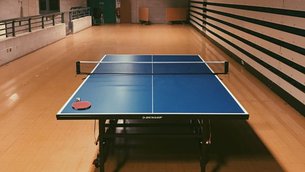 NBS Table Tennis | Ping-Pong - Rated 1