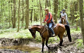 Namelis prerijose | Horseback Riding - Rated 0.9
