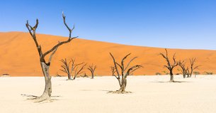 Dead Vlei | Nature Reserves,Deserts - Rated 4.1
